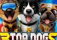 3 Top Dogs
